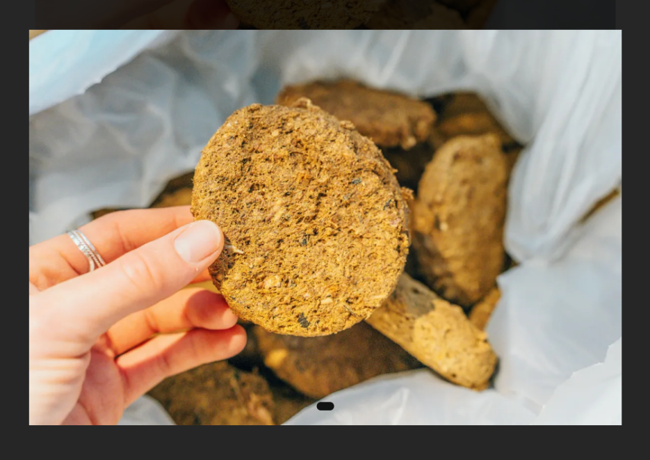 Revy Raw Pet Food